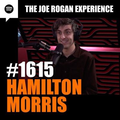 #1615 - Hamilton Morris