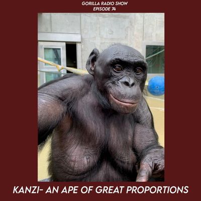 Episode 74 - Kanzi: An Ape of Great Proportions