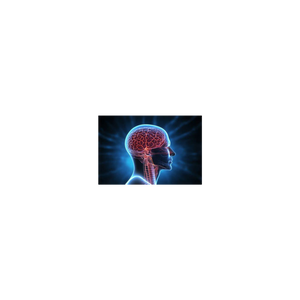 OVERBOARD ~ a Movie with PROFOUND Impact!