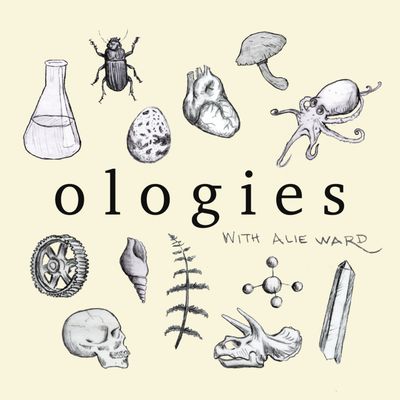 Condorology (CONDORS & VULTURES) with Jonathan C. Hall