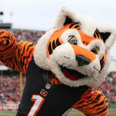 Locked On Bengals - 6/17/2019 Lou Anarumo, re-visiting some mailbag questions, a little Who Dey D&D talk, and some trivia