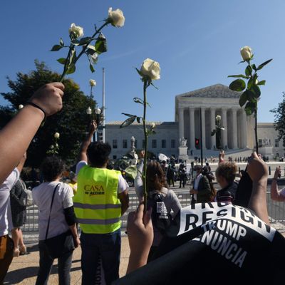 What The SCOTUS Vacancy Means for Abortion — And The 2020 Election