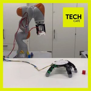 Le robot et sa Chose