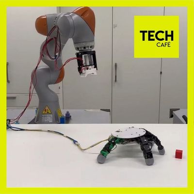 Le robot et sa Chose