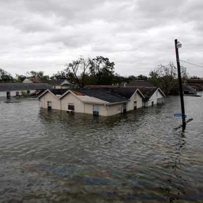 As Climate Change Drives More Disasters, What Can We Learn From 'Katrina Babies'?