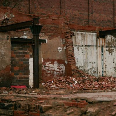 Degrowth Distributism and the Well-Being Economy
