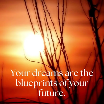 Seeds of Life ~ Seek ~&~ Conquer