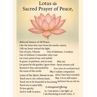 Shifting in the Newness of Enlightenment