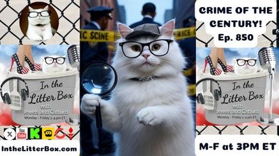 CRIME OF THE CENTURY! | In the Litter Box w/ Jewels & Catturd – Ep. 850 – 7/28/2025