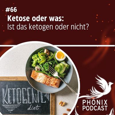 Ketose oder was: Ist das ketogen oder nicht? #66