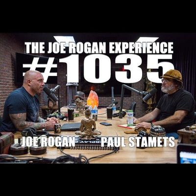 #1035 - Paul Stamets