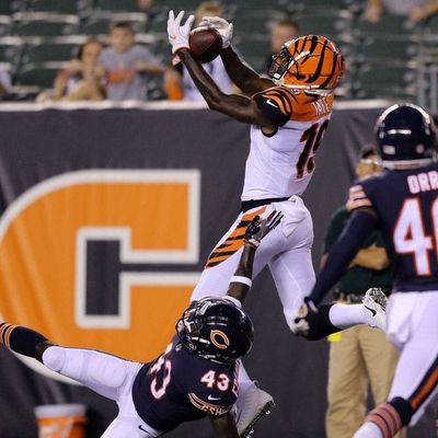 Locked on Bengals - 8/17/18 What to watch for on Saturday