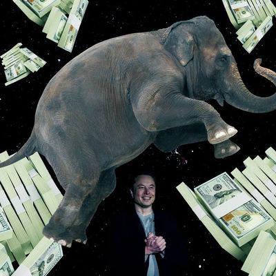 Elon Tests Limits of Free Speech while SpaceX Racks Up the Wins