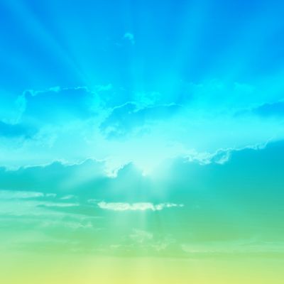 The Year in Wisdom