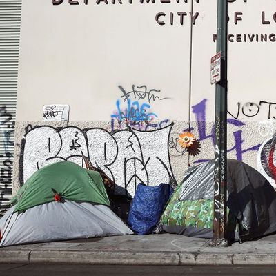 A new executive order tackles causes of homelessness. Why are some advocates worried?