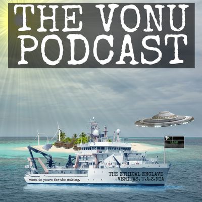 TVP #229: Vonu/P.A.Z.NIA Year 4 (2024) Year-In-Review