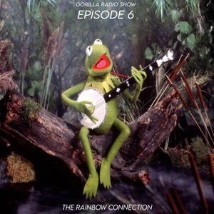 Episode 6 - The Rainbow Connection