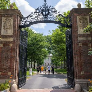 Who loses when Trump cuts funding to universities?