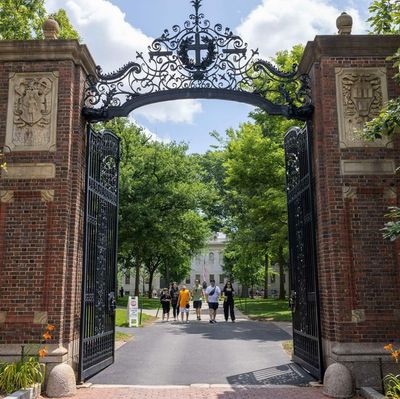Who loses when Trump cuts funding to universities?