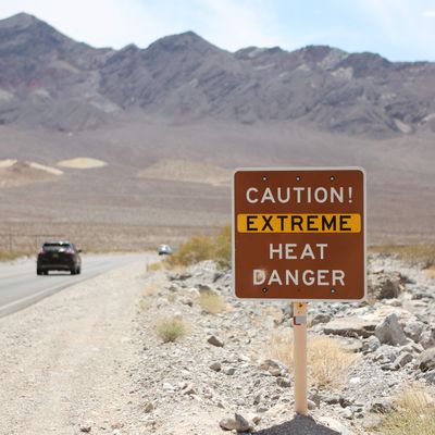 How To Protect Ourselves From Extreme Heat — And Our Planet From Climate Change