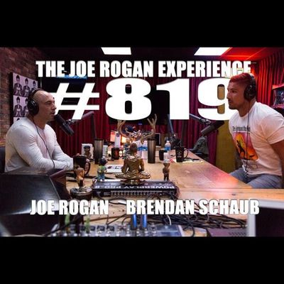 #819 - Brendan Schaub