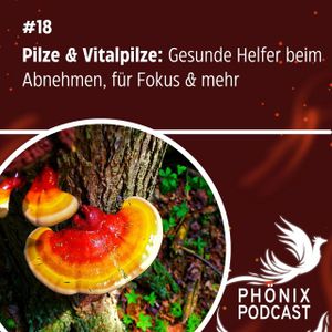 Vitalpilze und Pilze: Gesunde Helfer beim Abnehmen und für Mega-Fokus #18