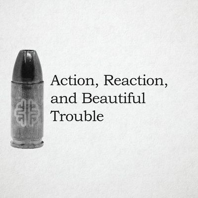 Action, Reaction, and Beautiful Trouble