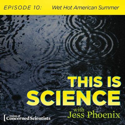 Re-release: Wet, Hot American Summer