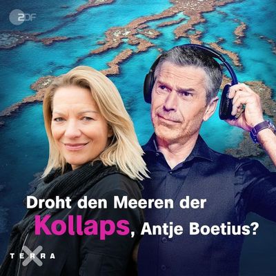 "Droht den Meeren der Kollaps, Antje Boetius?"