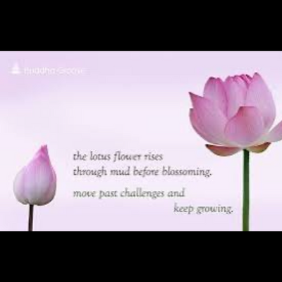 Navigating Easy Steps in Timelines ~🙏🌸🙏