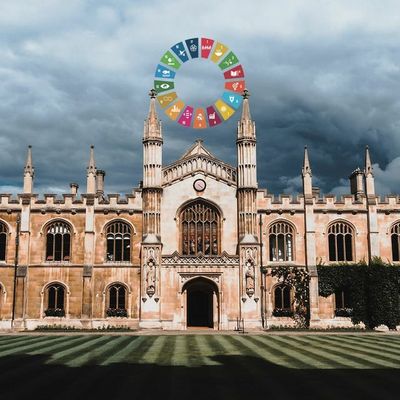 The Strange Death of the University, Part 1: The Red Thread