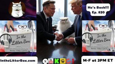 He's Back!!! | In the Litter Box w/ Jewels & Catturd – Ep. 820 – 6/12/2025