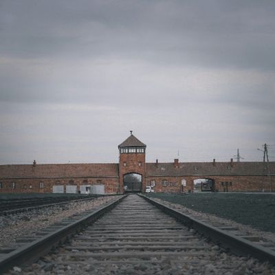 Woke Nationalism and the Nazi Experiment