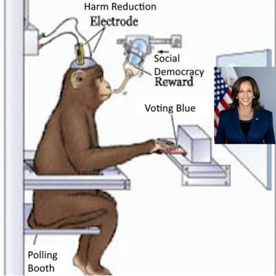 Episode 64 - Can Primates Decide the U.S. Election?
