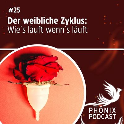 Der weibliche Zyklus: Wie´s läuft wenn´s läuft #25