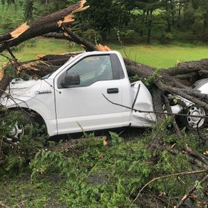 Giant Bombcast 671: Tree on the Loose