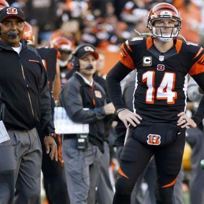 223: Locked on Bengals - 9/28/17 What Sunday means for Andy Dalton and Marvin Lewis