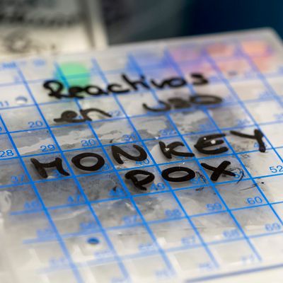 Warning Vulnerable Populations About Monkeypox Without Stigmatizing Them