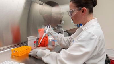 Testing Holds States Back; Vaccine Timeline