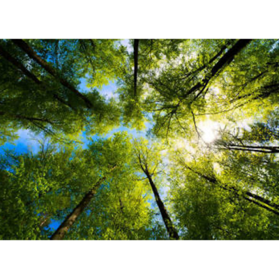 Growth and The Father
