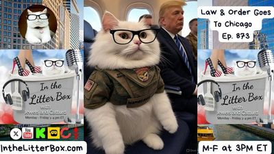 Law & Order Goes to Chicago | In the Litter Box w/ Jewels & Catturd – Ep. 873 – 9/3/2025