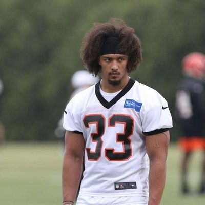 Locked On Bengals - 8/7/2019 Rodney Anderson To Avoid PUP, Tuesday Training Camp Updates, and Continuing to Count Down