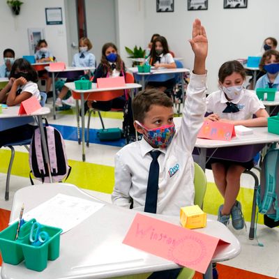 We're Halfway Through Another Intense Year For Teachers