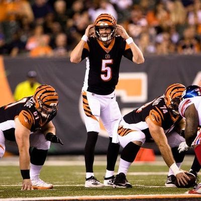 A.J. Green won't play against Baltimore, but Ryan Finley will - What should we expect? 11/8/2019