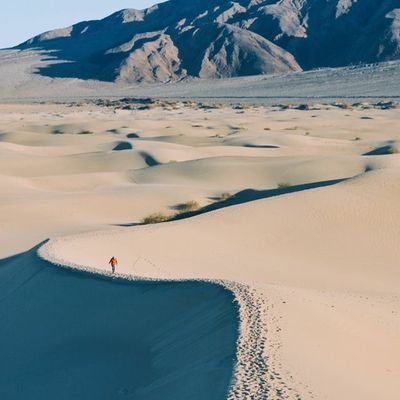 James Lindsay on His Lifetime Twitter Ban
