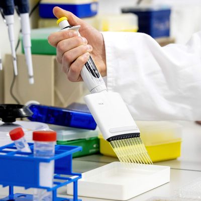 Phase III Vaccine Trials Could Start In July