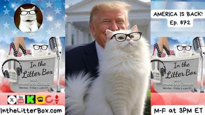 AMERICA IS BACK! | In the Litter Box w/ Jewels & Catturd – Ep. 872 – 8/27/2025