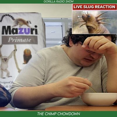 Episode 11 - The Chimp Chowdown