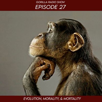 Episode 27 - Evolution, Morality, Mortality