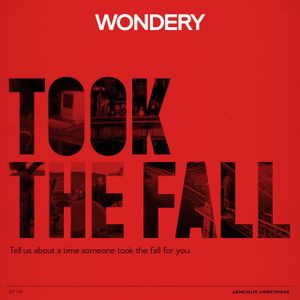 Armchair Anonymous: Took the Fall